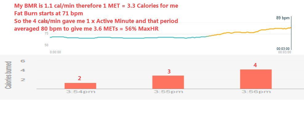 Mets fat burn 20feb18.jpg