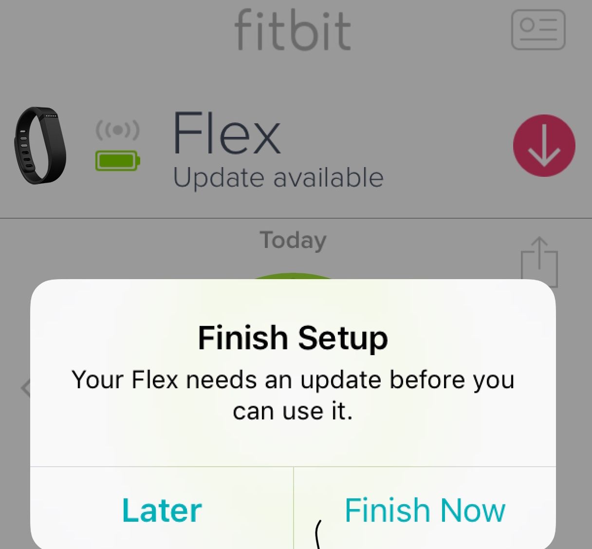 Pair 2025 fitbit flex