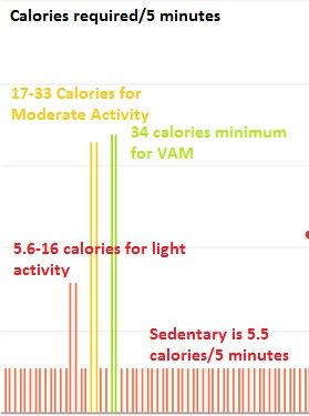 VAM and Moderate.jpg