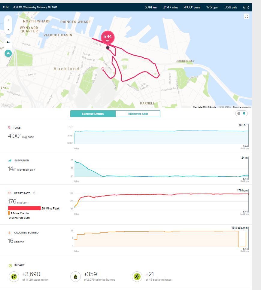 Fitbit Run Upload.JPG