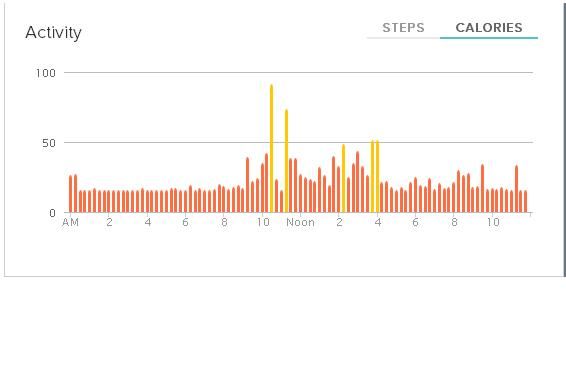 fitbit skating day.JPG