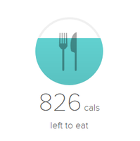 Daily Calorie Estimate tile.