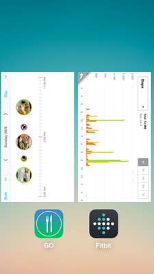 GO-app_and_Fitbit_Jun8.PNG