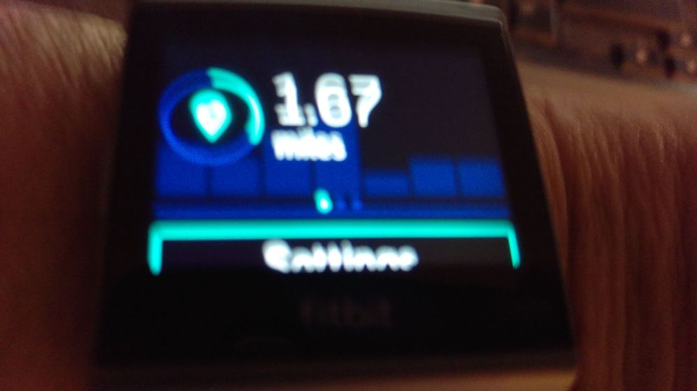 IMAG3312.jpg