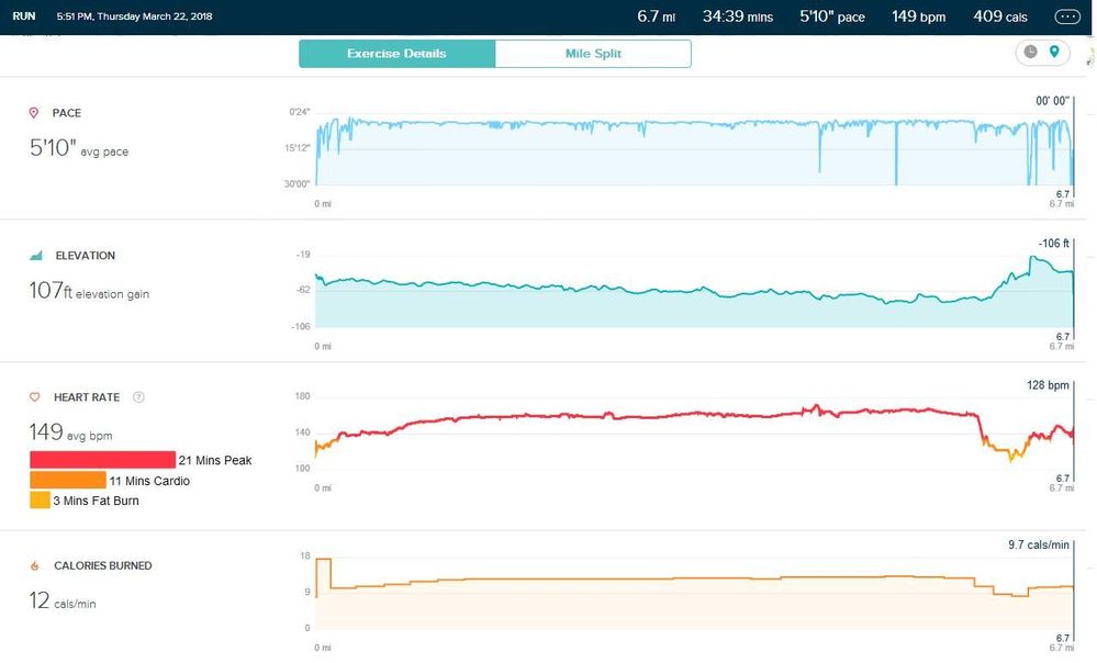 fitbit_run.JPG