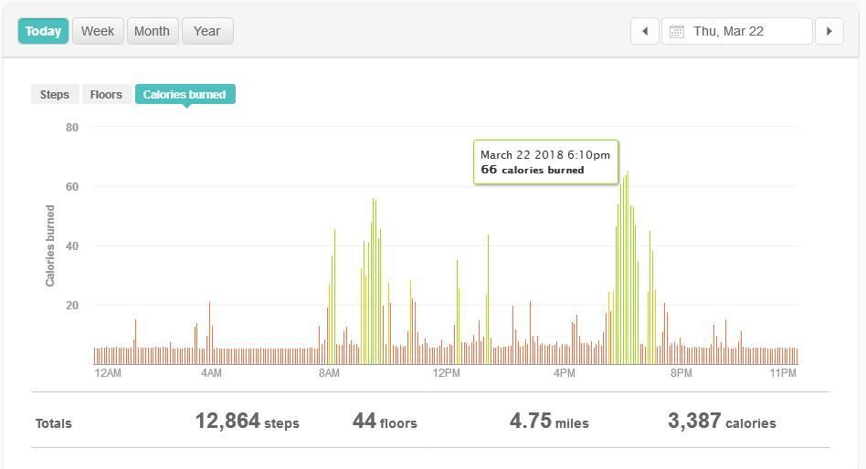 fitbit_calories.JPG