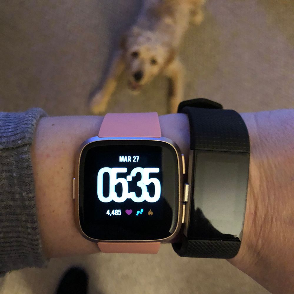 Versa next to Charge 2 (special appearance by Bora the labradoodle;))