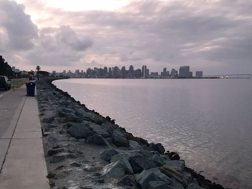 Early AM harbor walk in San Diego