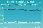 Fat Mass.jpg