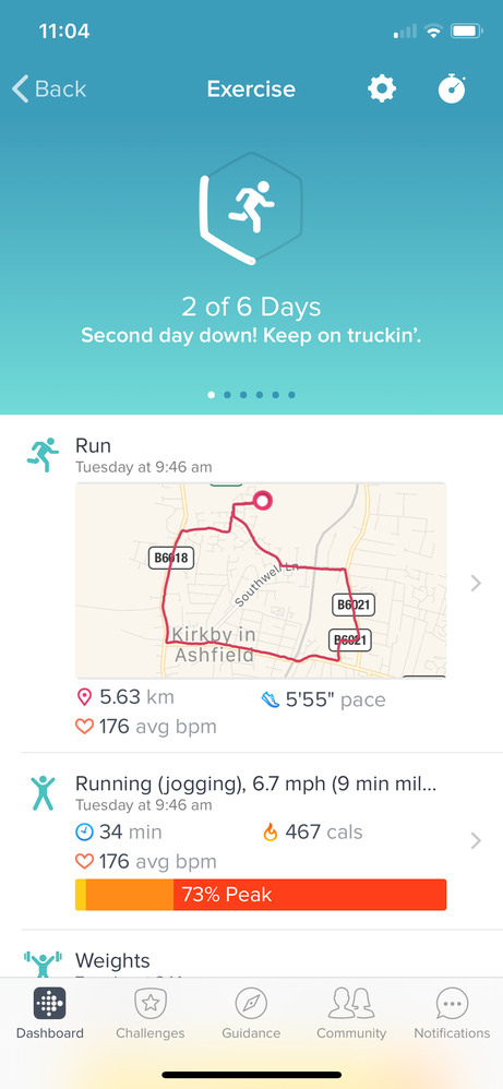 Fitbit track sale run