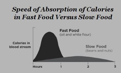 a speed of food absorption.JPG