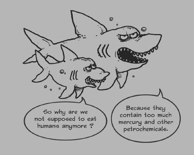 sharks.JPG