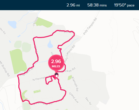 Fitbit versa map my 2025 run