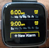 Alarm Schedule