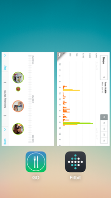 GO-app_and_Fitbit_Jun16.PNG