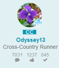 cc2.png