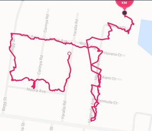 Walk GPS failing 13feb18.jpg