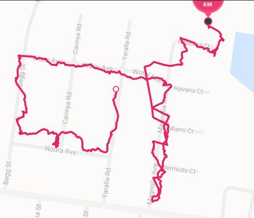 Walk GPS failing 13feb18.jpg