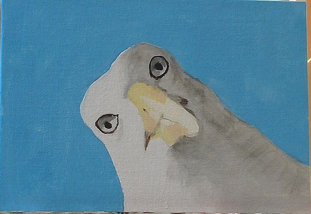 gull.jpg