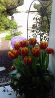 20180415_120547.jpg