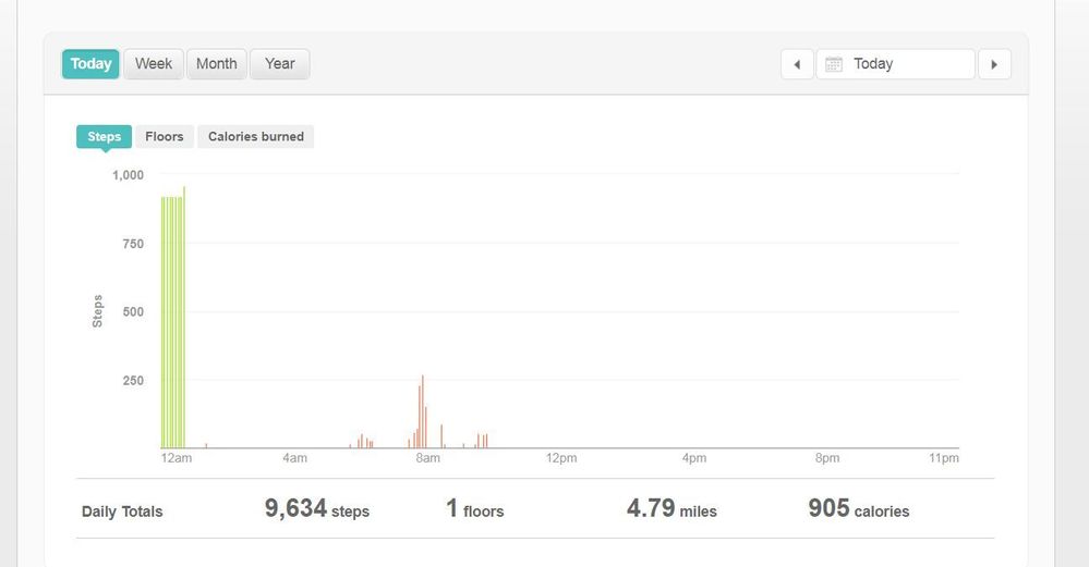 Fitbit Steps.JPG