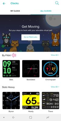 clockfacesfitbit.jpg