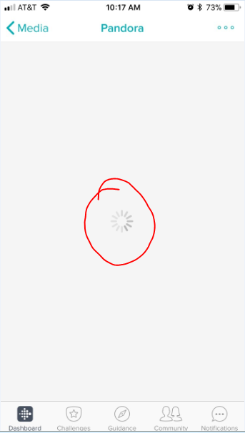 Take two months ago - this is the spinning wheel of death that I could not troubleshoot/fix