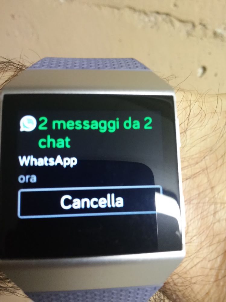 notifica.jpg