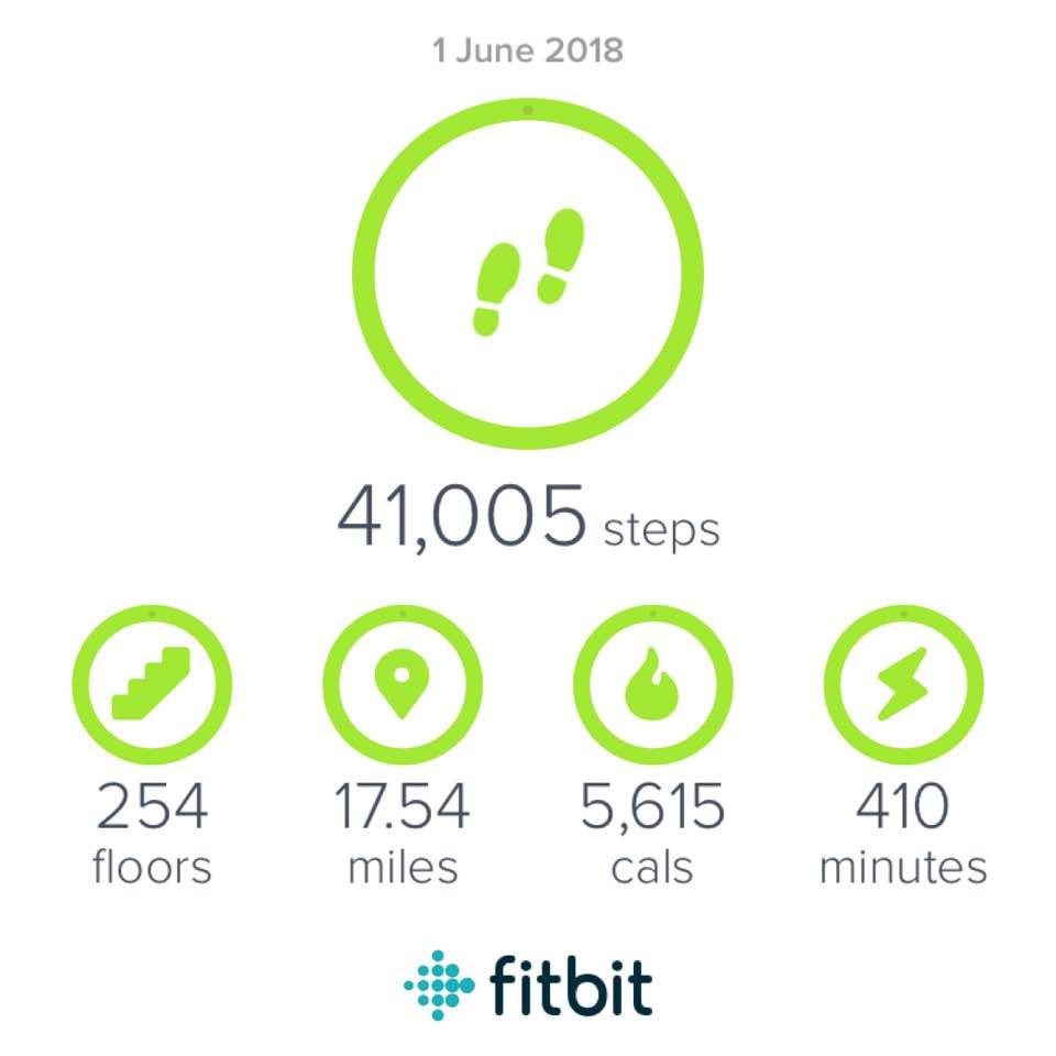 fitbit most steps in a day