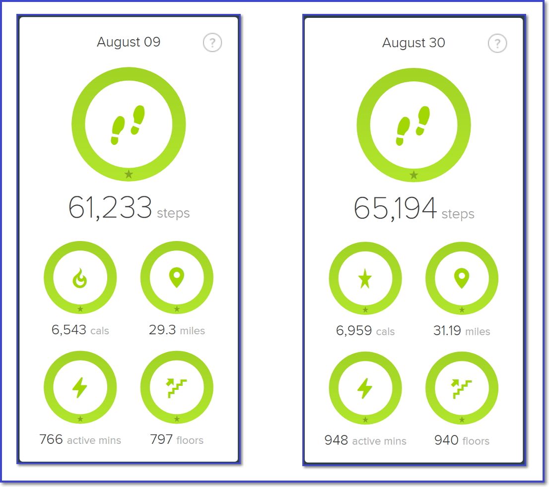 fitbit most steps in a day