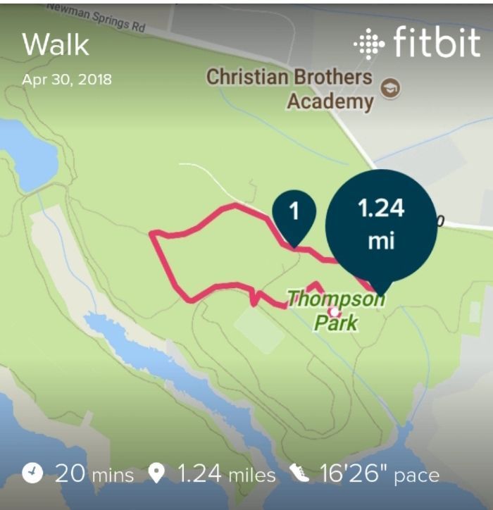 Screenshot_20180605-183306_Fitbit.jpg