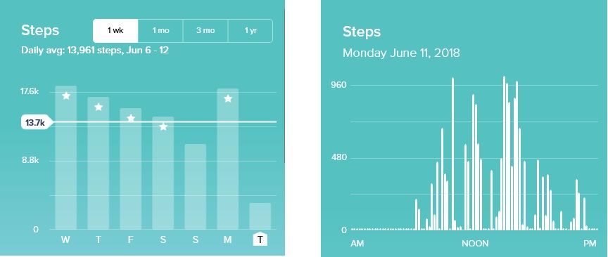 fitbit-stepsovertime.jpg