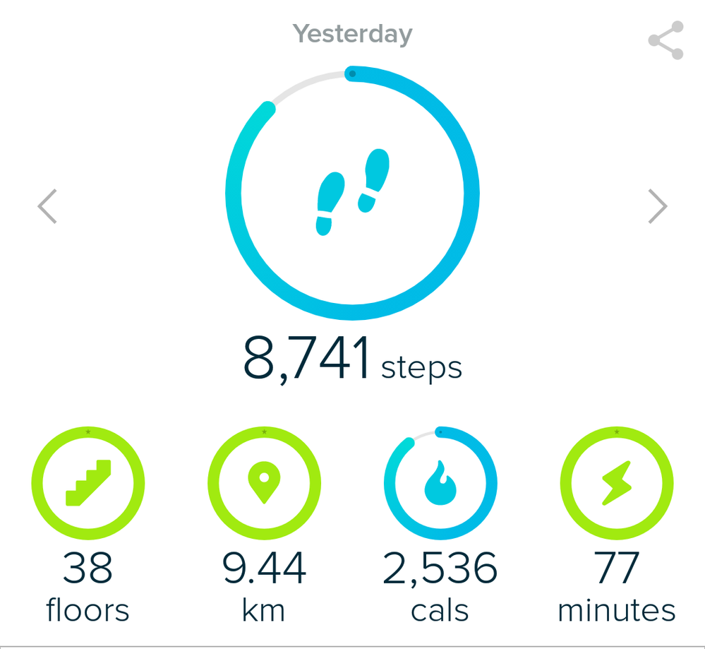 Steps after adding exercise manually