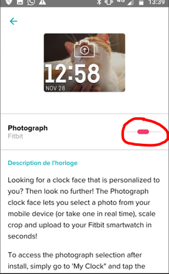 H photo.PNG