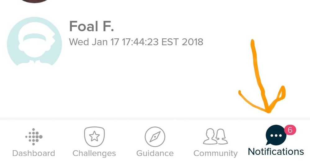 Screenshot_20180624-122258_Fitbit.jpg