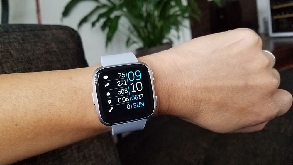 Fitbit versa 2 clock faces best sale