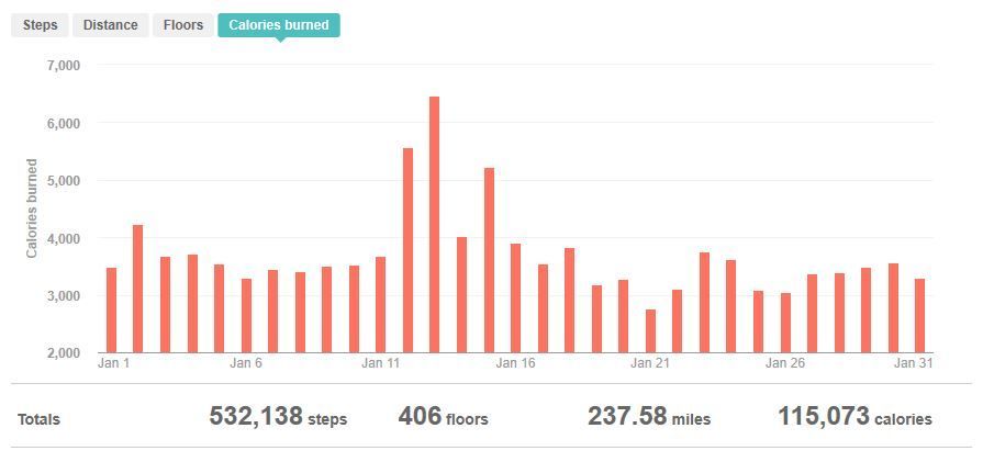 fitbit-strangecaloricburn.JPG