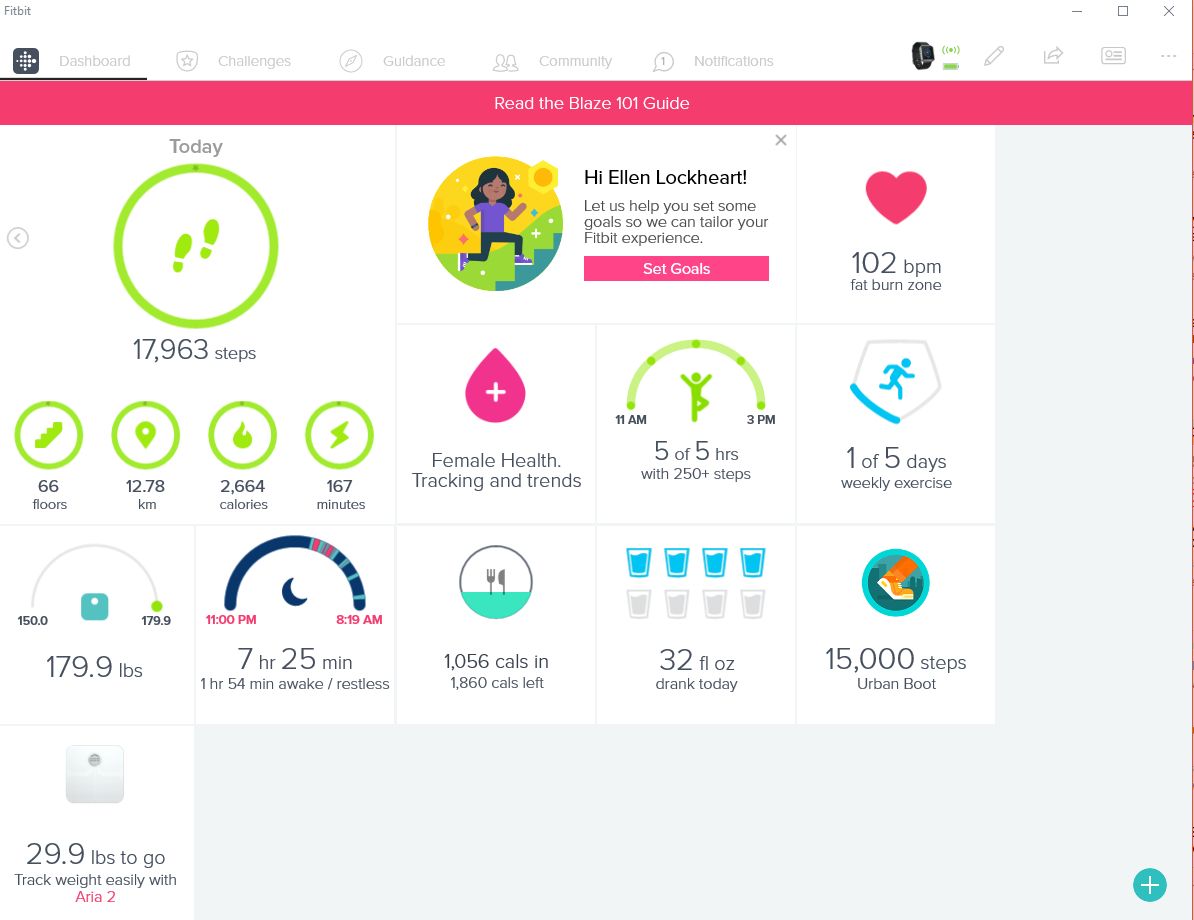 3000 calories burned - Fitbit 