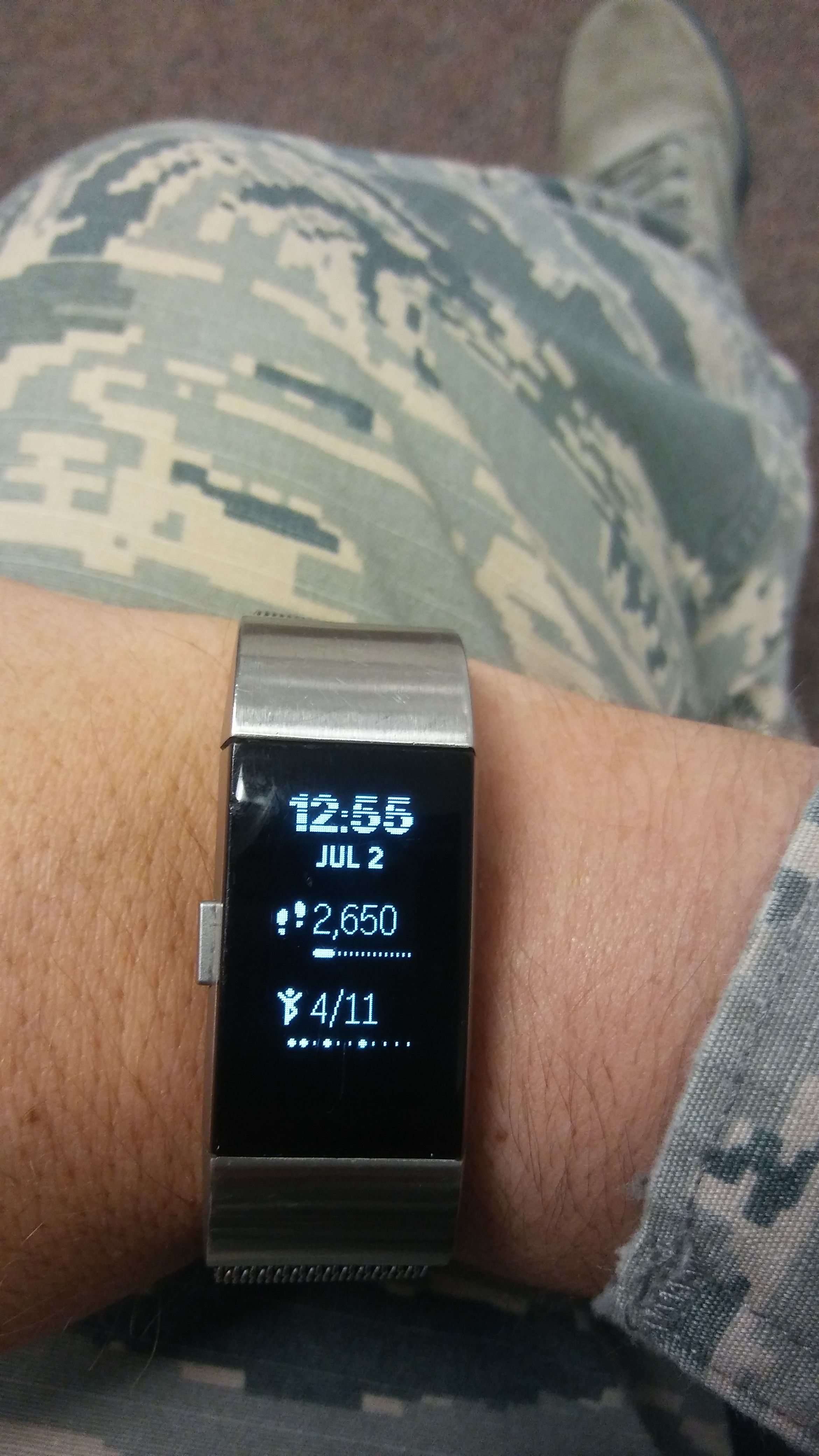 fitbit has a line on the screen