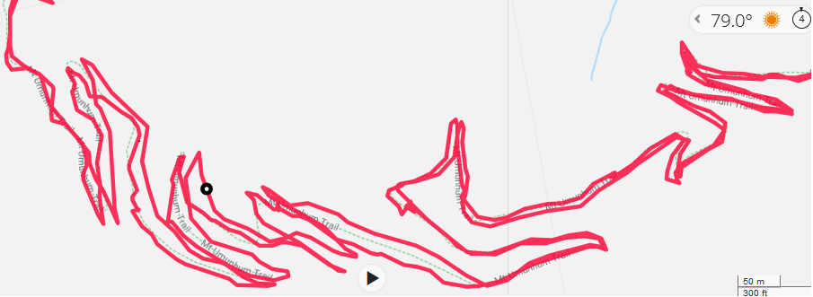 eTrex 30 track - Mt Um.png