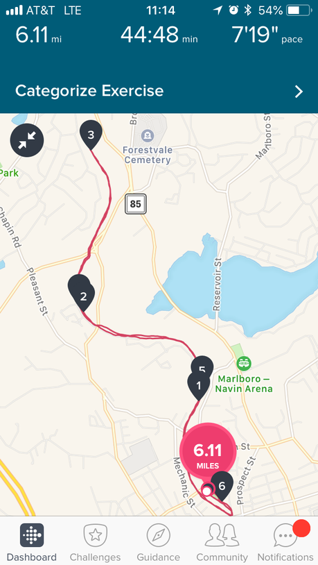 Run with the Wolves 10K, July 18