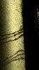 magnifier_20180723_114548.png