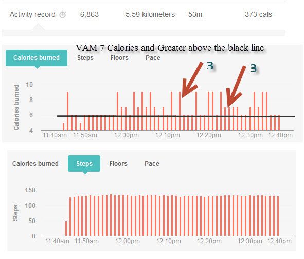 Active Minutes Aug 2nd 2013.jpg