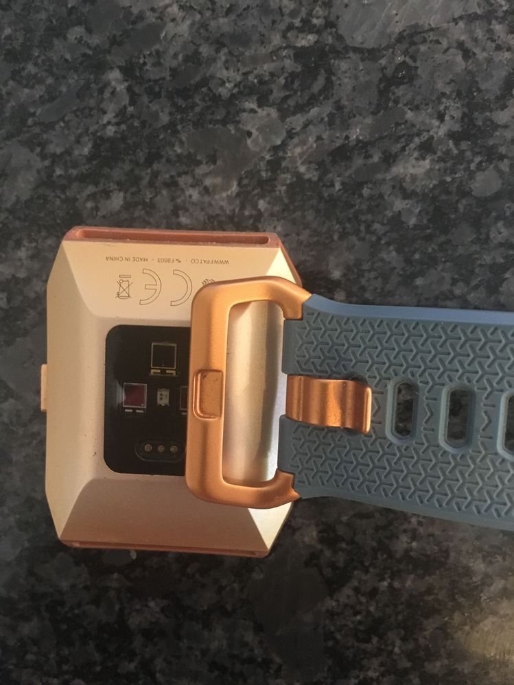 Fitbit ionic store burnt orange bands