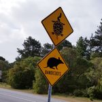20180808_000932.jpg