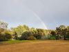 20180810_081705_resized.jpg