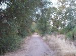 trail.jpg
