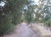 trail.jpg