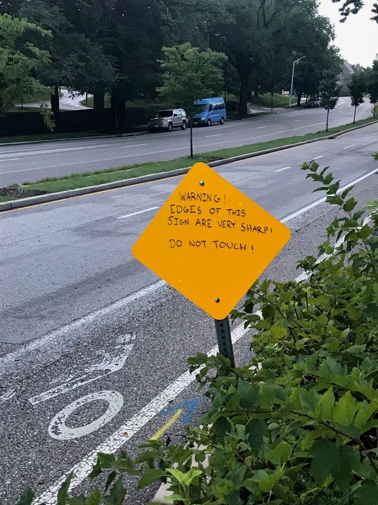 I'm not sure why the city occasionally posts blank signage, but this one didn't stay blank ...