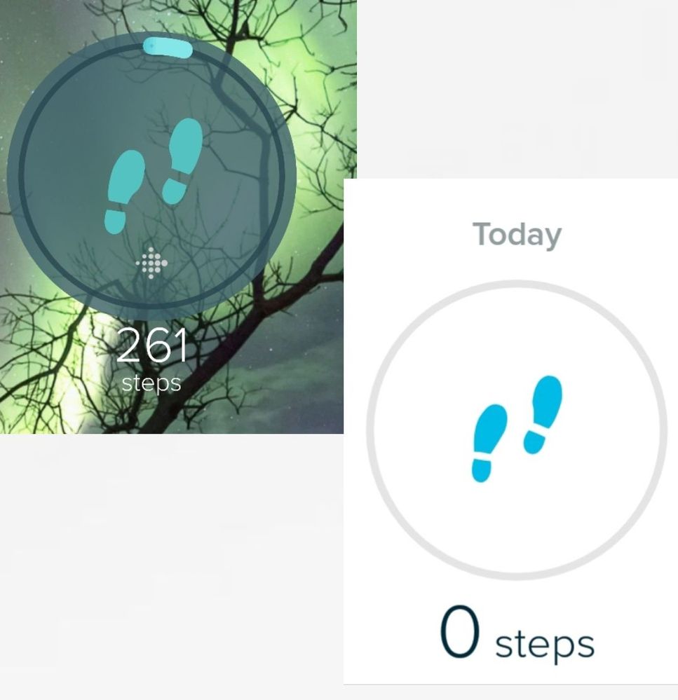 My widget shows the steps but the Fitbit dashboard always shows 0.
